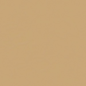 Paper 005 texture